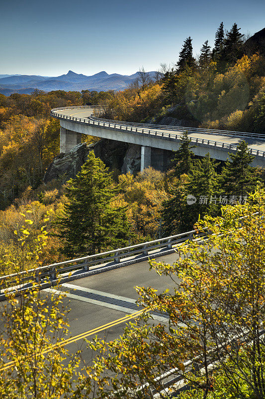 林湾高架桥蓝岭公园大道秋天