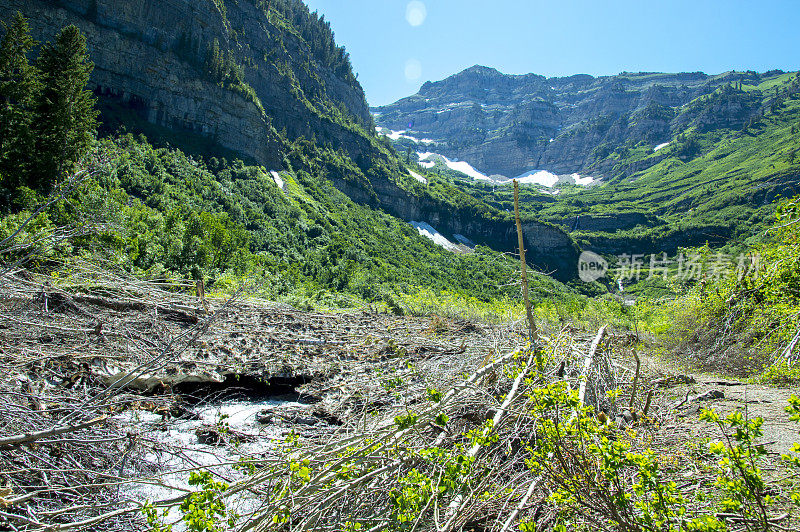 Timpanogos山步道徒步在仲夏-径流从雪原