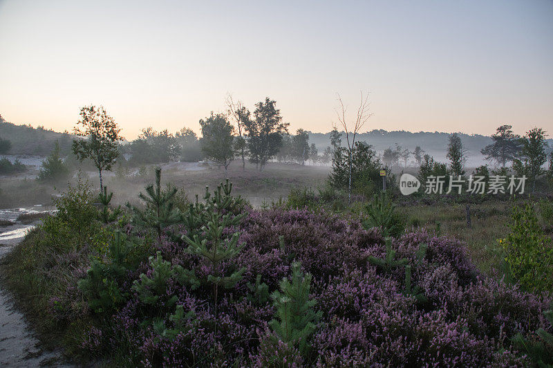 雾希思场景