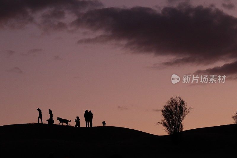 黄昏时分，家人和朋友带着狗在沙丘上散步的剪影