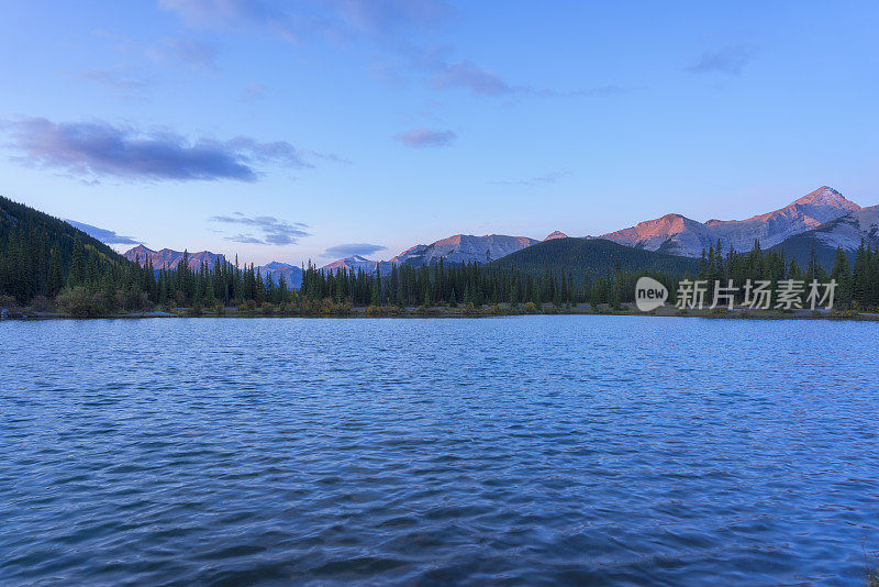 清晨勿忘我池塘的风景