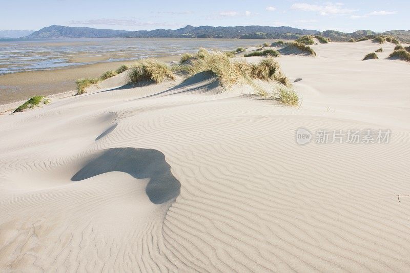 夏季沙丘景观