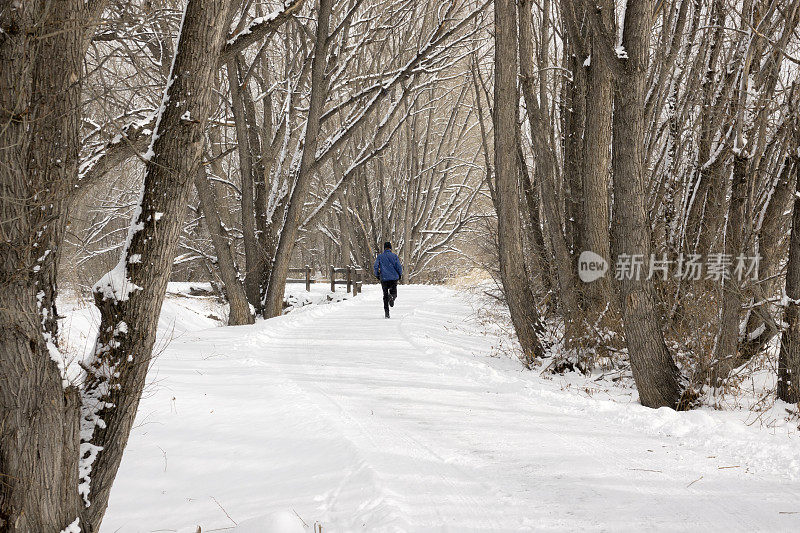 男人冬天跑步雪树排列的道路丹佛科罗拉多州