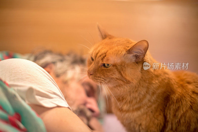 姜猫和老人在床上休息