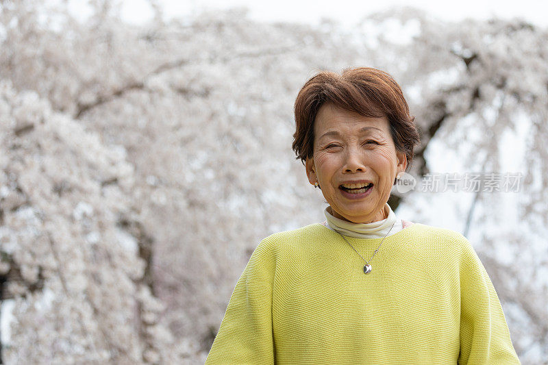 一个日本女人在欣赏樱花