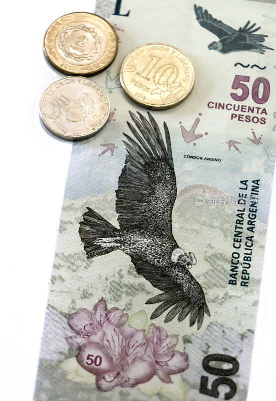安第斯秃鹰的阿根廷钞票，本地和受保护的物种。