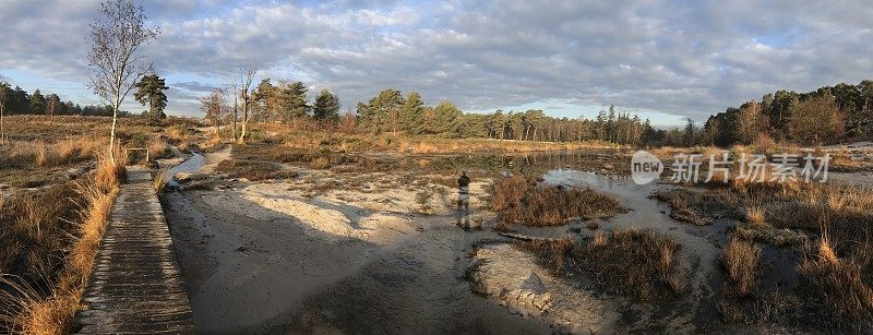 湿地全景