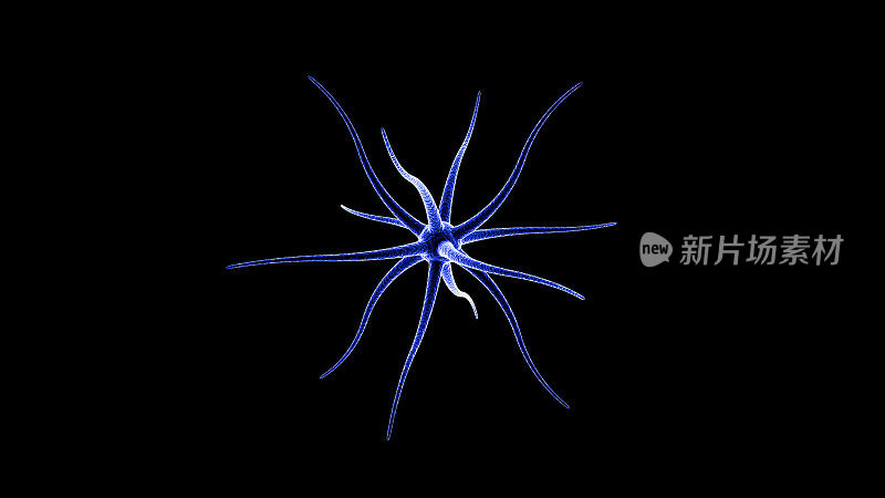 神经元在黑色背景上的3D渲染。