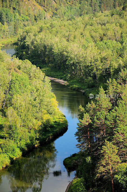 在一个温暖阳光明媚的日子里，一条平静蜿蜒的河流流过针叶林。河伯德,