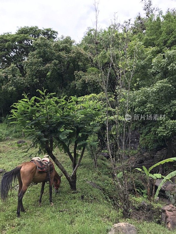 在瀑布中骑马