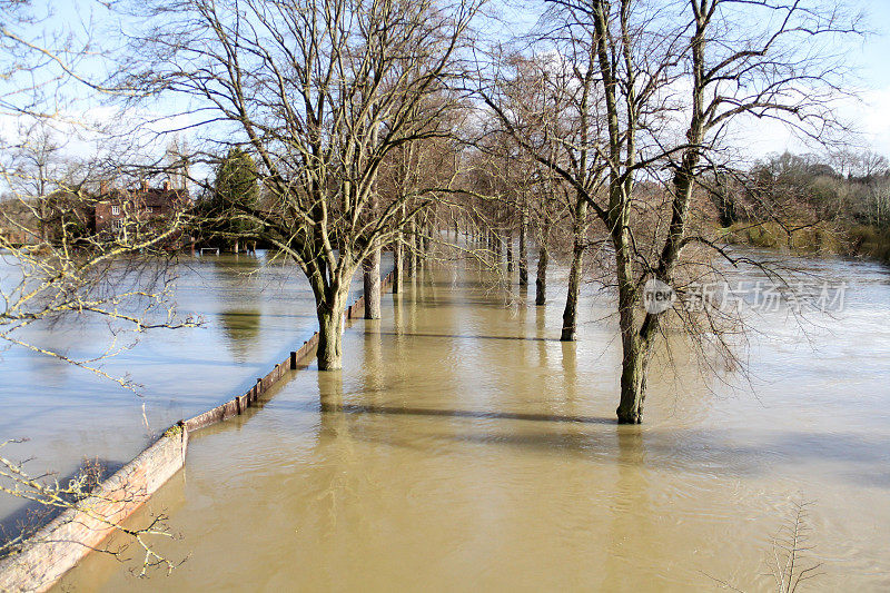 光秃秃的树木淹没在洪水中，显示人行道通常是通过什鲁斯伯里什罗普郡的公园。