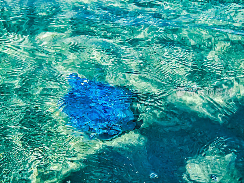 蓝色水母漂浮在水里。