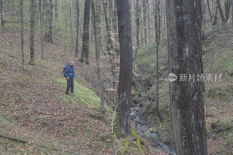 在春天的一天在森林里徒步旅行