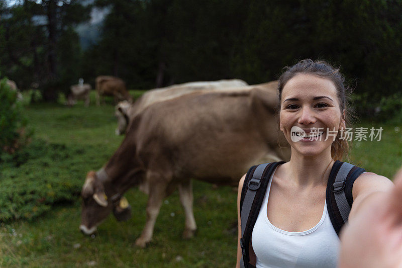 年轻女子和瑞士奶牛自拍