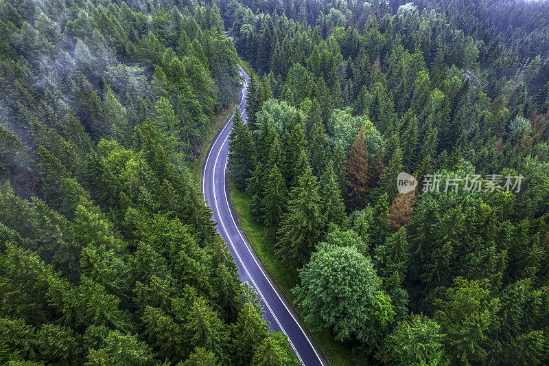 鸟瞰绿色森林中的山路