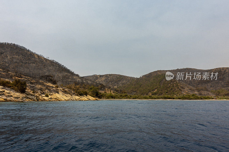 海岸森林大火之后