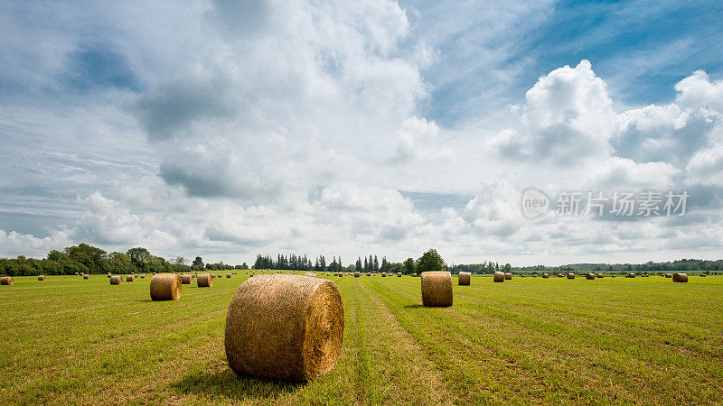 加拿大农田:16x9格式，晴天和多云天空下的干草捆