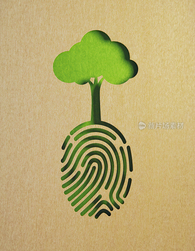可持续发展概念-从绿色背景上的指纹形状的再生纸中剪出树