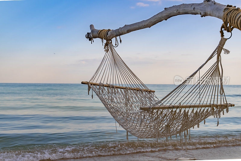 空旷美丽的海滩上，大树上挂着一张吊床。吊床用绳子绑在树上，黑海，保加利亚