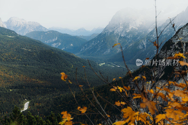 高山荒野的秋景