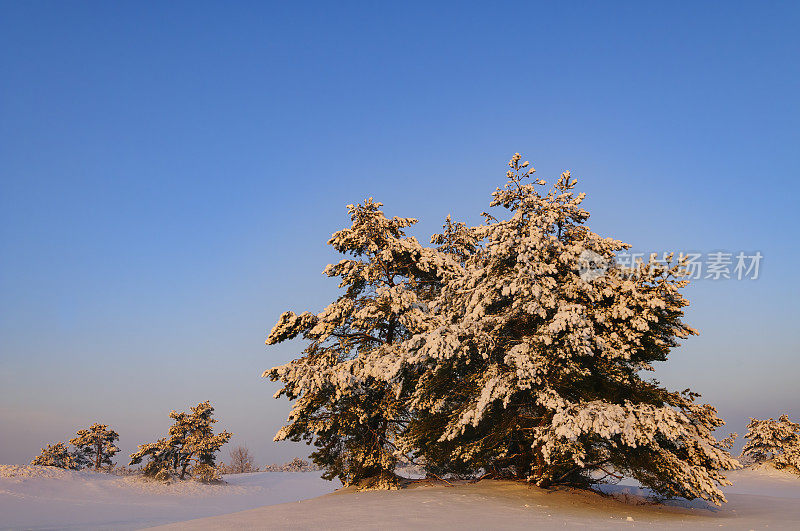 在一个漂移的沙丘地区的冬季雪景