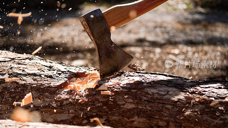 护林员在森林里砍树时使用斧头。