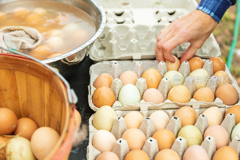 一对千禧一代夫妇经营着一家家庭企业，向当地客户出售鸡蛋
