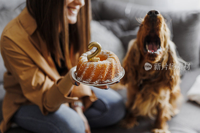 微笑的女人和她的狗在家里庆祝她的狗生日。