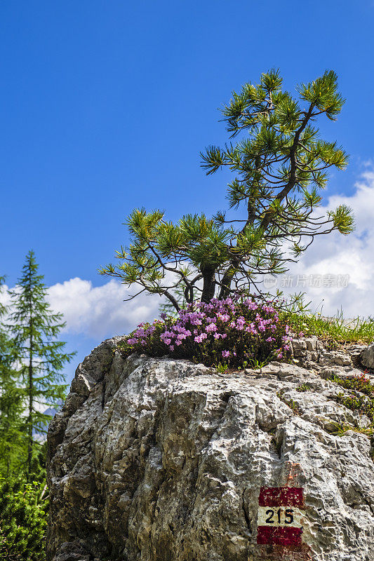 Dolomites，通往Sorapiss湖的小径(意大利威尼托)