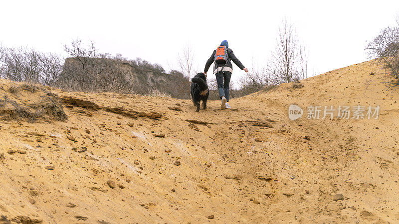 散步的狗。一个背着背包的女人和她的伯尔尼山狗在黄色的沙滩上。他们往山上走，远离镜头。
后面的观点。