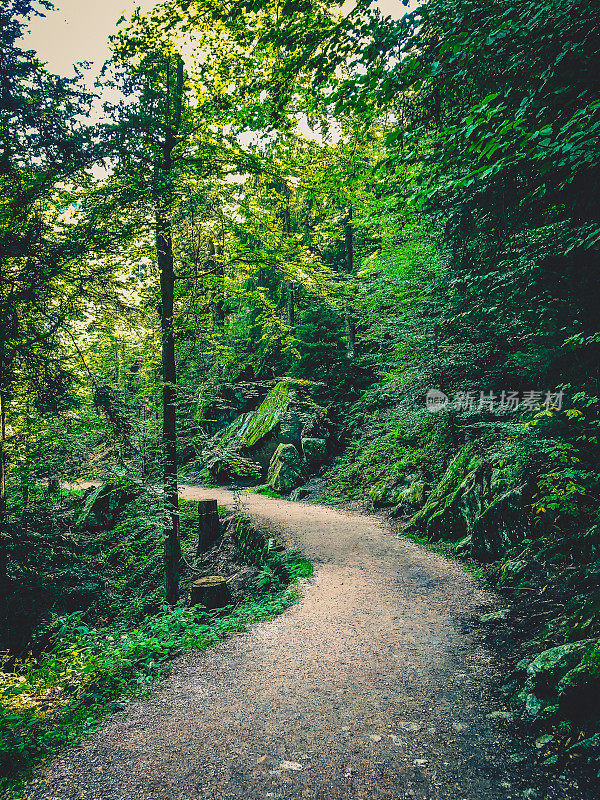 德国黑森林的一条小路。