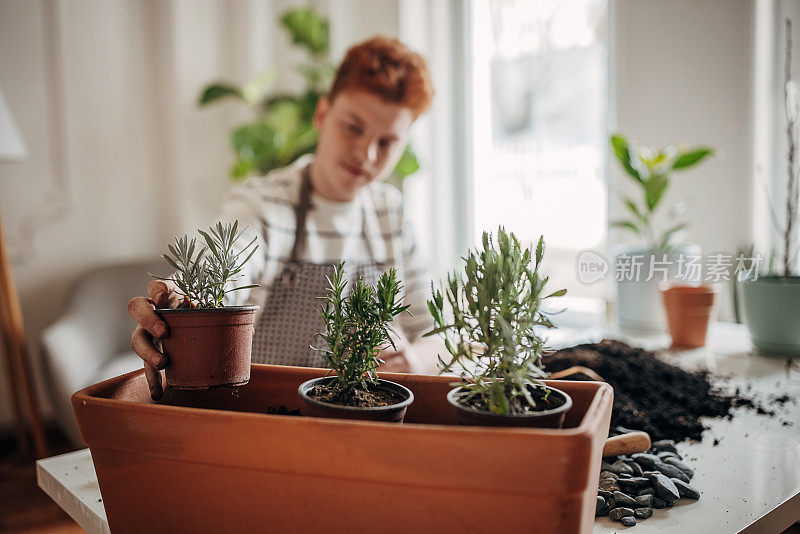 红发少年在家里种植室内植物