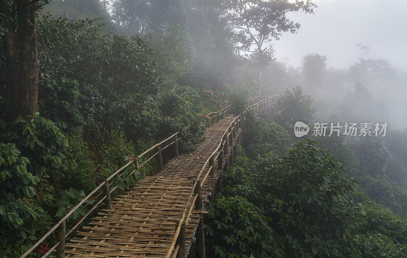 泰国清莱省土法熙的早晨，美丽的山景