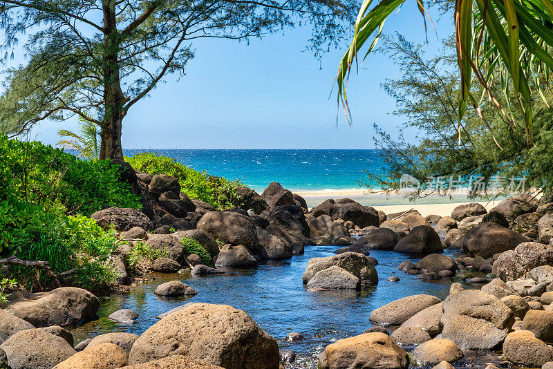 夏威夷考艾岛的海滩