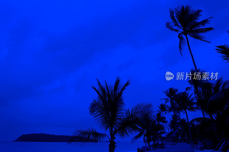 空旷的热带岛屿海滩夜景棕榈树