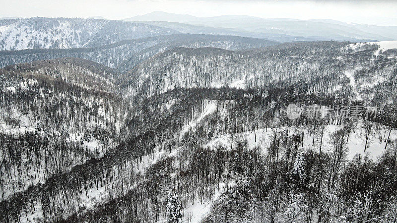 冬天在山上，雪覆盖的松林，冰冻的森林，鸟瞰雪林和山景，雪山的顶峰，雪松