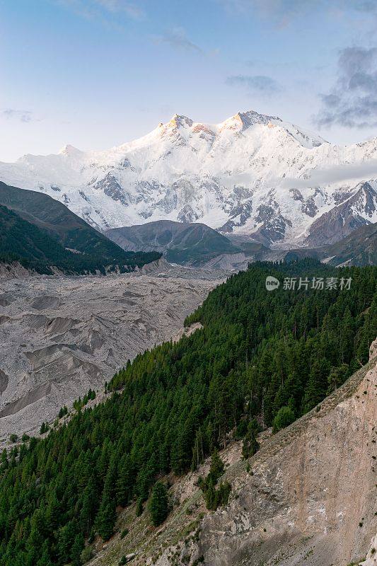 巴基斯坦喀喇昆仑的拉基奥特冰川和南迦帕尔巴特山脉的美丽垂直照片