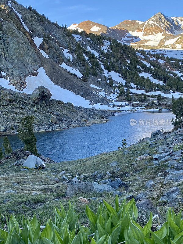 高山脉露营