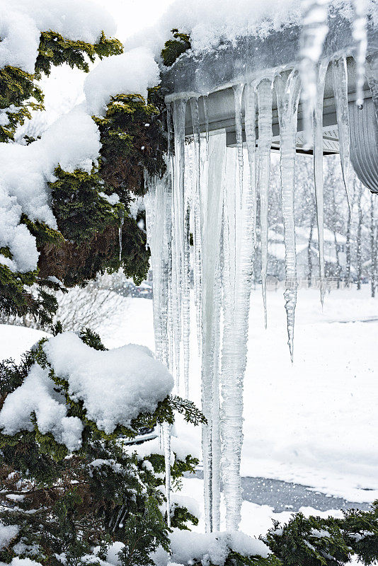 长时间冻结的冬季冰柱悬挂在屋顶水沟
