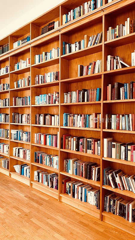 图书馆，拼花地板和充分包装的木质书架
