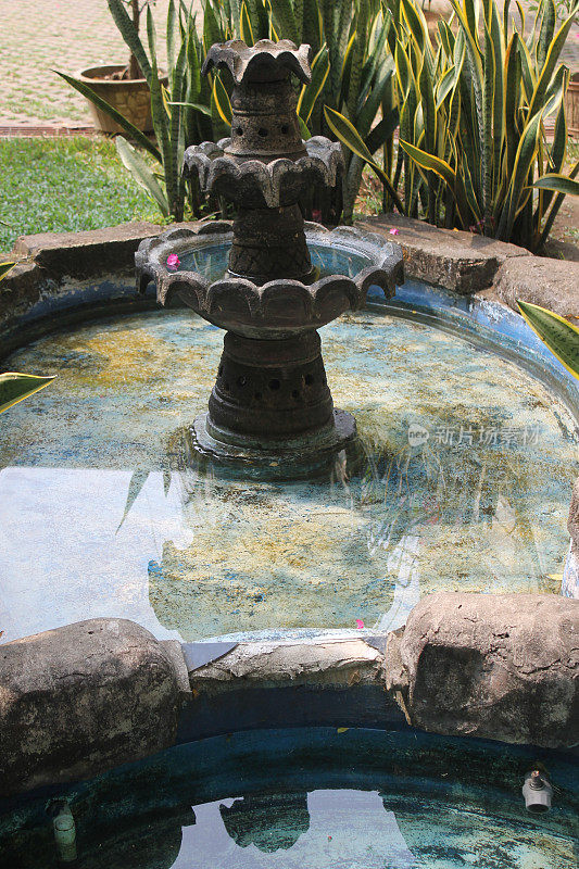 游泳池的水作为装饰在花园里