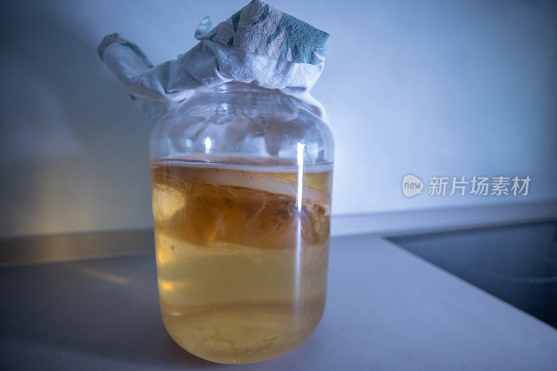 自制发酵康普茶在玻璃罐中