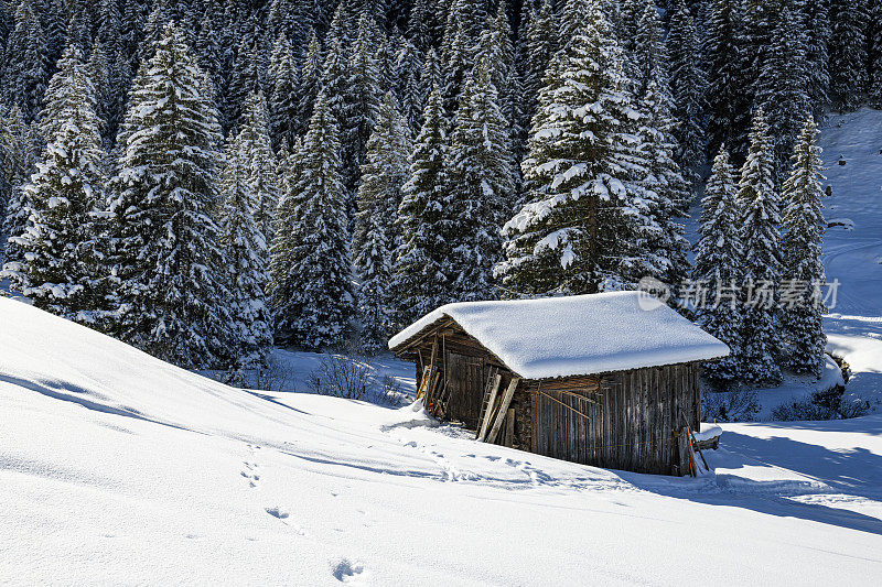 冬天的风景，旧小屋和白雪皑皑的森林