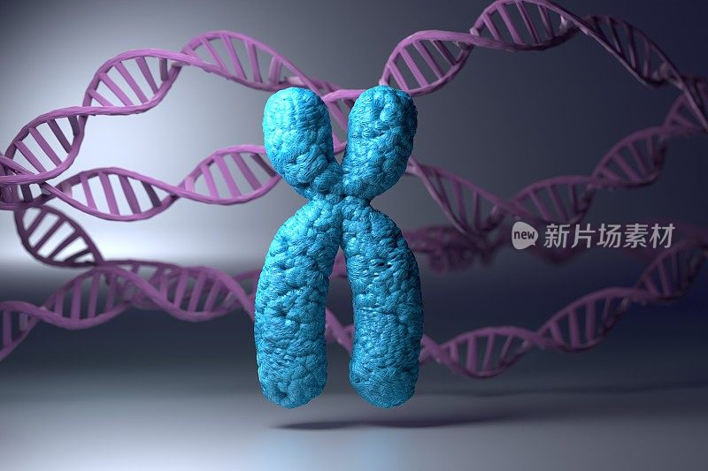 染色体和DNA。基因的图像。