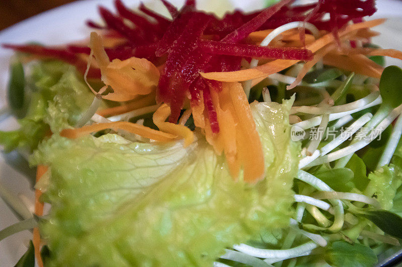 健康新鲜的绿色沙拉盘