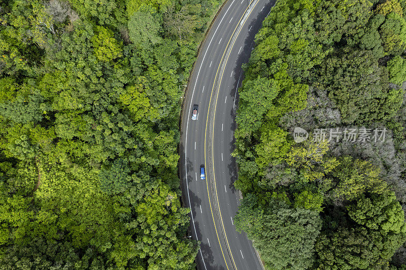 高速公路穿过茂密森林的鸟瞰图