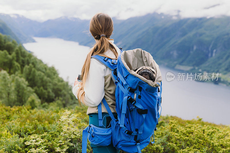 在挪威山区徒步旅行的女子背着她的狗的后视图