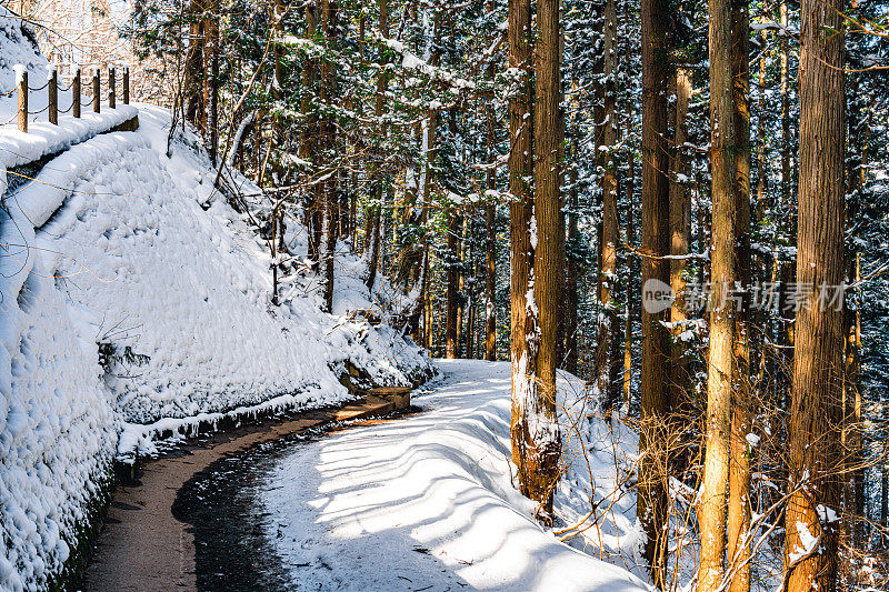 冬天的小路被雪覆盖着