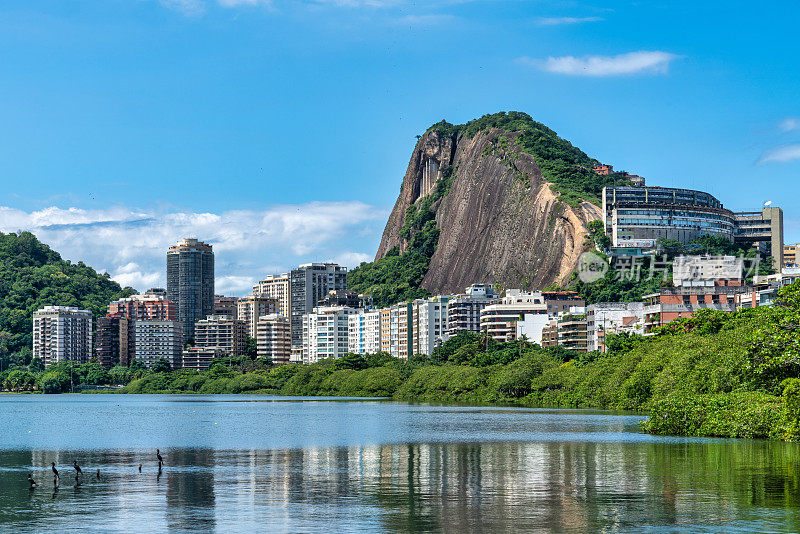 奇妙的里约热内卢里约热内卢天际线:一个充满活力的城市景观