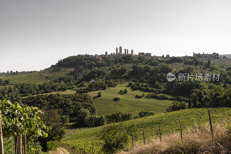意大利托斯卡纳圣吉米尼亚诺村的景色。圣Gimignano